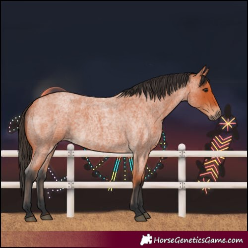 Horse Color:Bay Roan