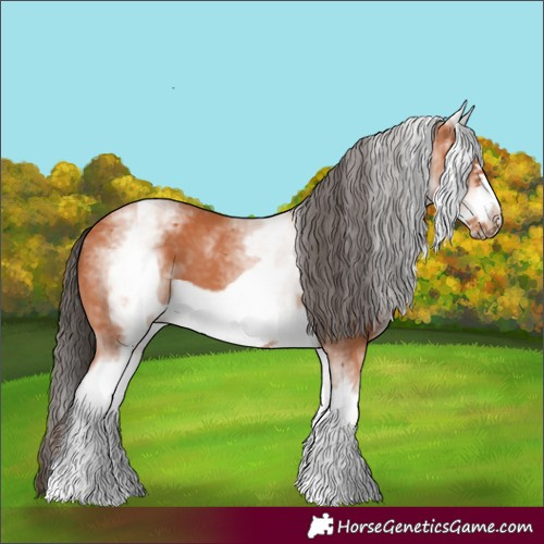 Horse Color:White Spotted Bay Frame 
