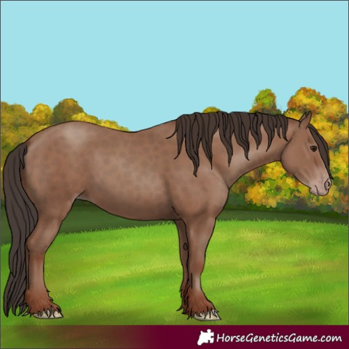 Horse Color:Classic Champagne 