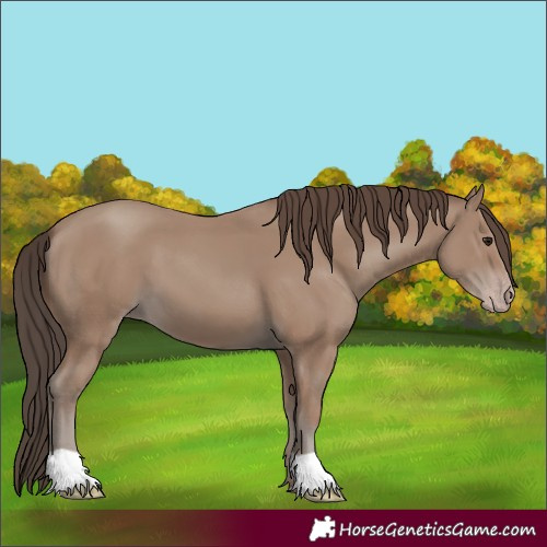 Horse Color:Classic Champagne 
