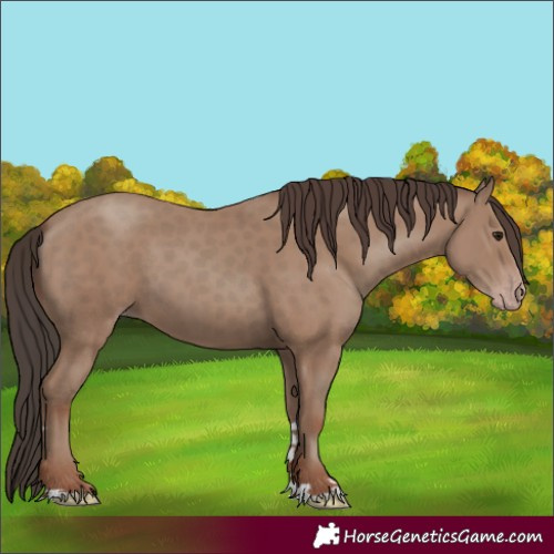 Horse Color:Classic Champagne 
