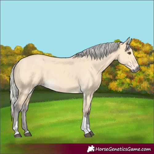 Horse Color:Silver Buckskin Dun Tobiano 