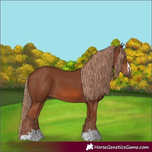 Horse Color:Chestnut 