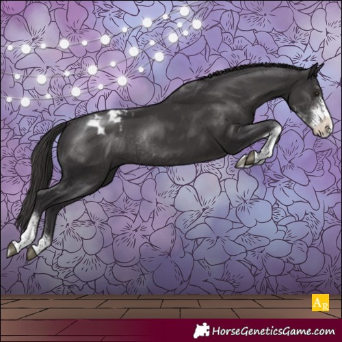 Horse Color:Smoky Black Sabino Tobiano Varnish Rabicano