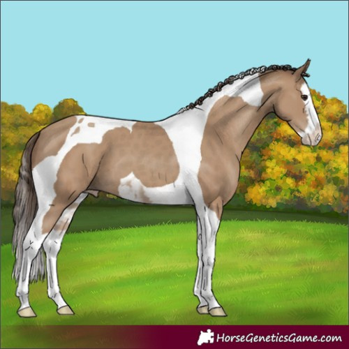 Horse Color:Classic Champagne Splash Tobiano 
