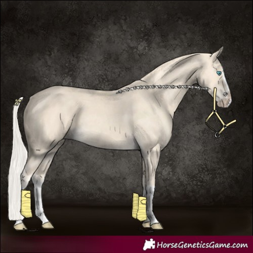 Horse Color:Cremello Splash  and Cremello Splash 