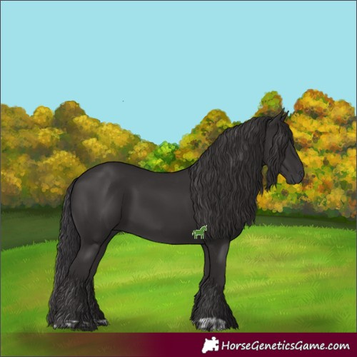 Horse Color:Smoky Black  and Smoky Black 
