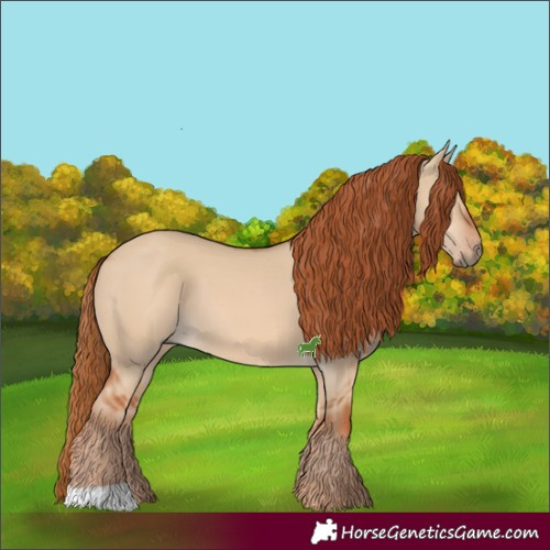 Horse Color:Red Dun