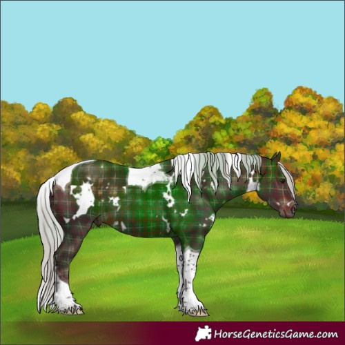 Horse Color:Plaid  White Spotted Silver Brown Tobiano 