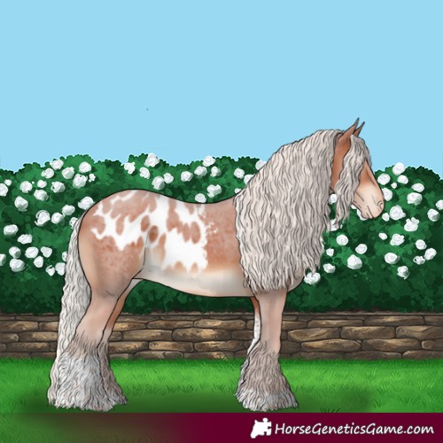 Horse Color:Silver Brown Tobiano Skewed LP Spotted 
