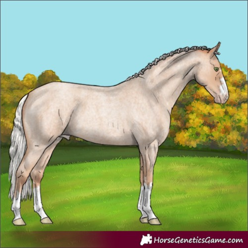 Horse Color:Silver Classic Champagne Roan