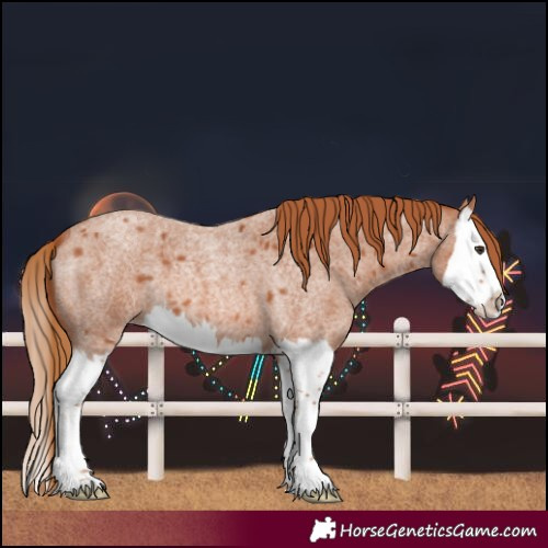 Horse Color:Red Roan Splash 