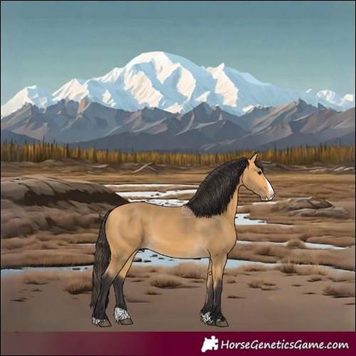 Horse Color:Buckskin Splash 
