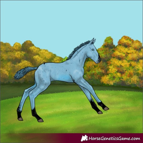 Horse Color:ERROR: UNKNOWN ANOMALY