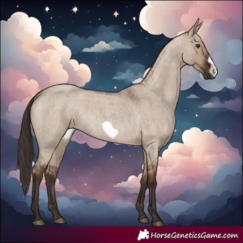 Horse Color:Liver Red Dun Roan Frame 