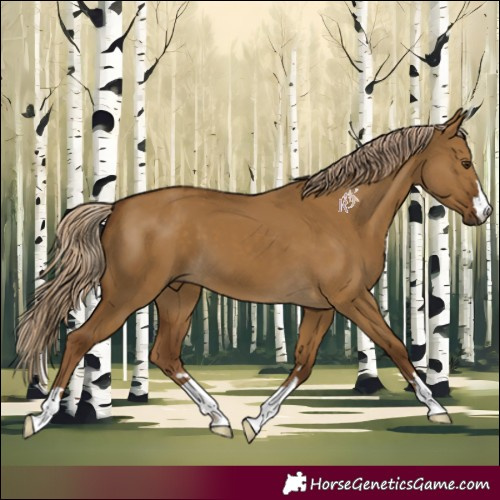 Horse Color:Chocolate Palomino Dun