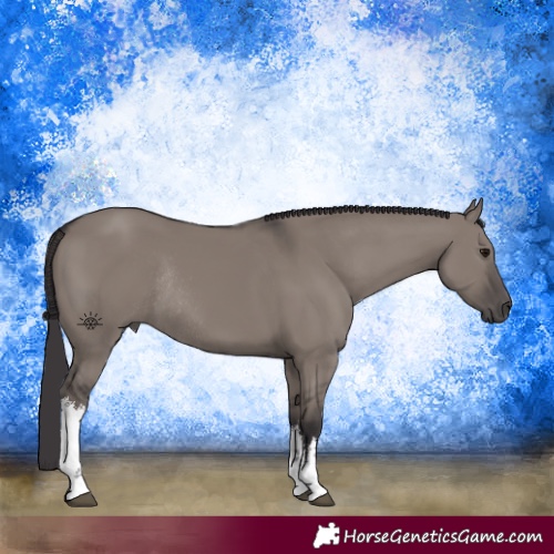 Horse Color:White Spotted Smoky Grullo Rabicano