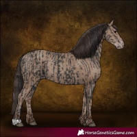Horse Color:Black and Classic Champagne