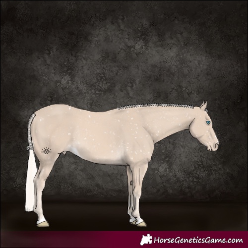 Horse Color:Cremello Skewed Appaloosa Rabicano 