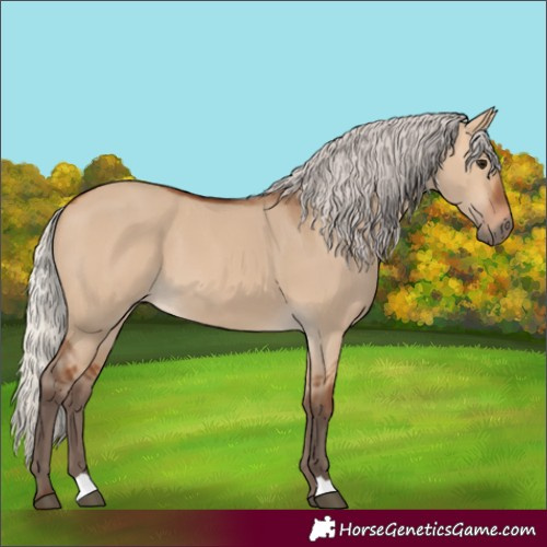 Horse Color:Silver Bay Dun