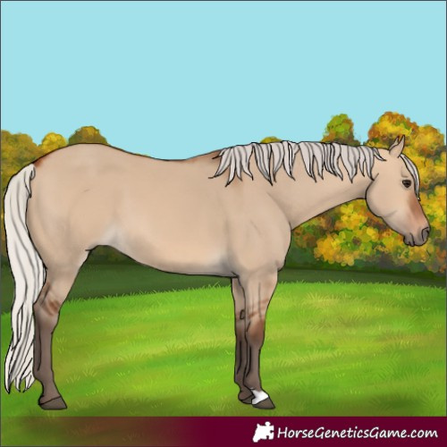 Horse Color:Silver Bay Dun 
