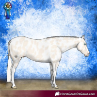 Horse Color:Cremello Dun Tobiano Near Leopard 