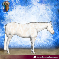 Horse Color:Cremello Dun Tobiano Near Leopard 