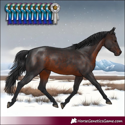 Horse Color:Brown Rabicano