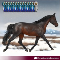 Horse Color:Brown Rabicano