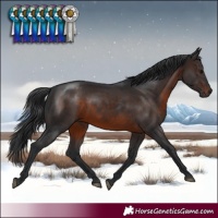 Horse Color:Brown Rabicano