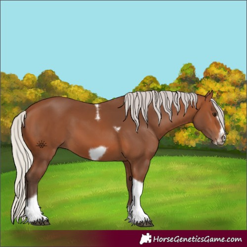 Horse Color:Silver Brown Tobiano Frame