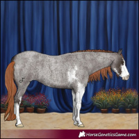 Horse Color:Liver Red Roan Sabino