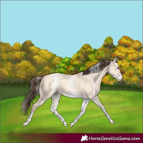 Horse Color:White Spotted Amber Champagne Dun Tobiano 
