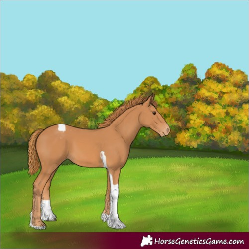 Horse Color:Chestnut Tobiano Varnish 
