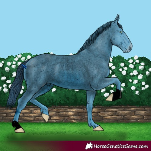 Horse Color:ERROR: UNKNOWN ANOMALY
