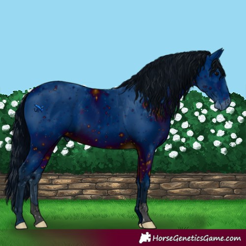 Horse Color:ERROR: UNKNOWN ANOMALY