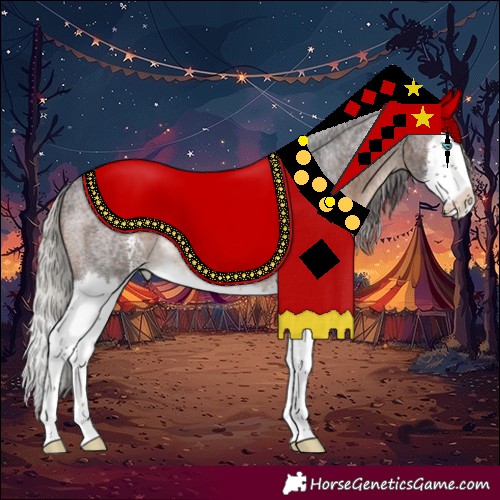 Horse Color:Silver Brown Roan Sabino Splash Rabicano