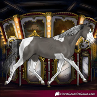 Horse Color:Grullo Splash Tobiano
