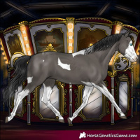 Horse Color:Grullo Splash Tobiano 