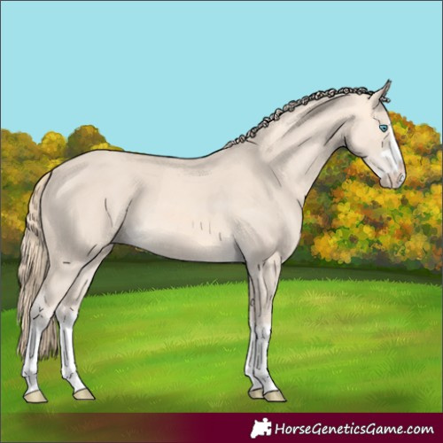Horse Color:Perlino Splash  and Smoky Creme Splash 