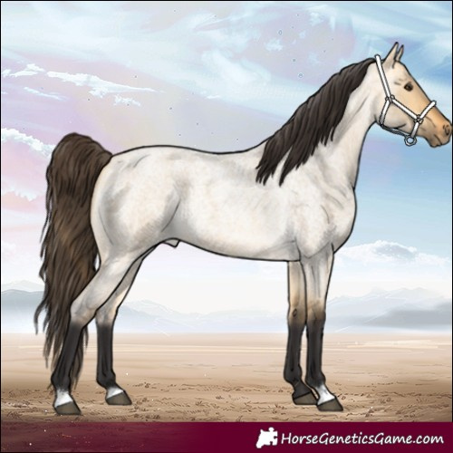 Horse Color:Buckskin Roan Dun 