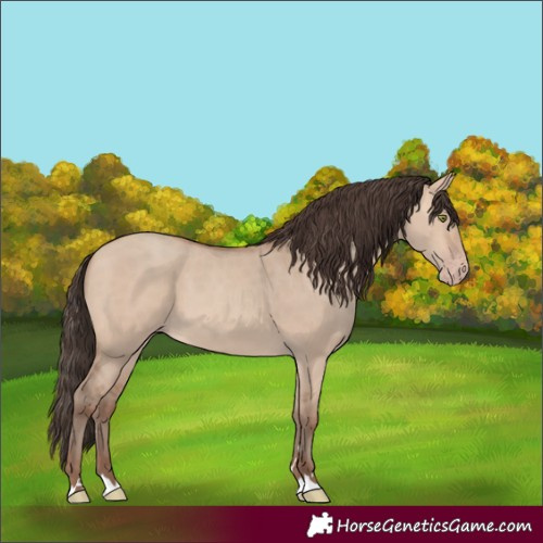Horse Color:Unknown 