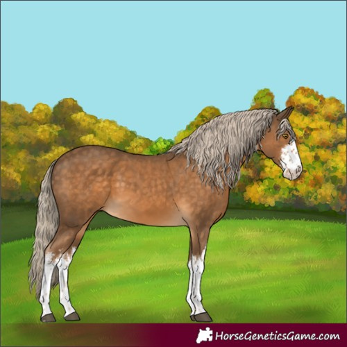 Horse Color:White Spotted Chocolate Palomino