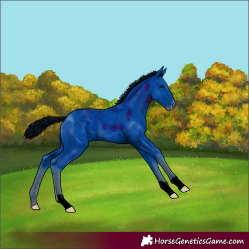Horse Color:ERROR: UNKNOWN ANOMALY