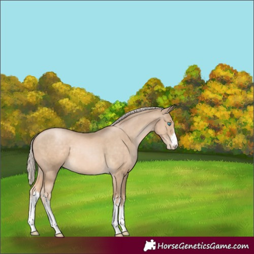 Horse Color:White Spotted Chocolate Palomino Pearl