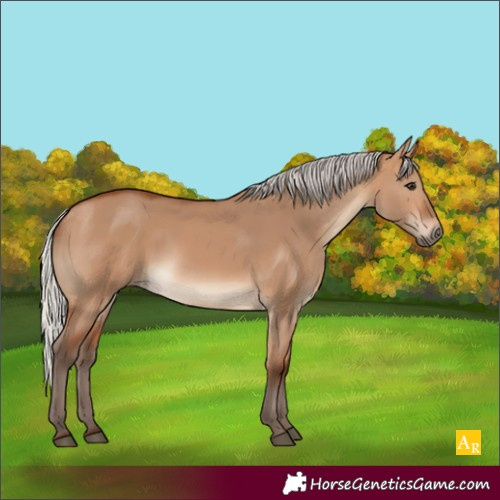 Horse Color:Silver Bay Dun 