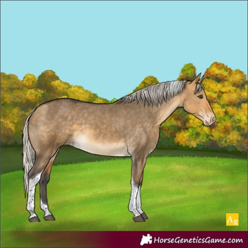Horse Color:Silver Buckskin Dun Tobiano Varnish 