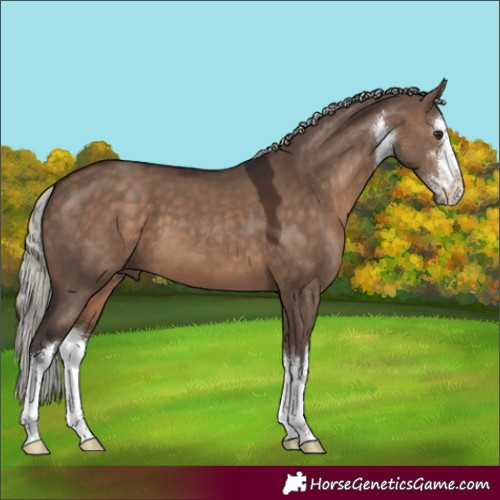 Horse Color:White Spotted Silver Brown Dun