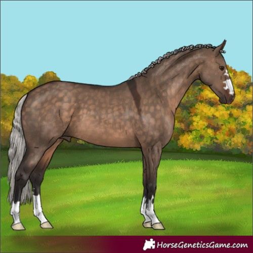 Horse Color:Silver Brown Dun