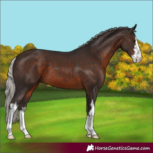 Horse Color:White Spotted Silver Brown 